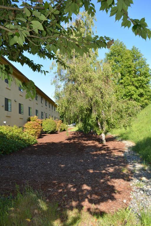 Super 8 By Wyndham Port Angeles At Olympic National Park Motel Luaran gambar